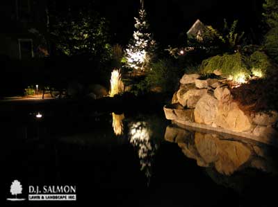 LandscapeLighting3A